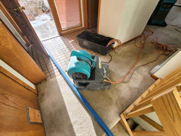 Best Professional water damage repair  in Friendly, MD